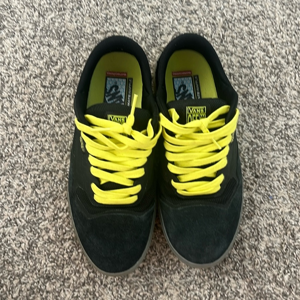Vans A.V.E shoes